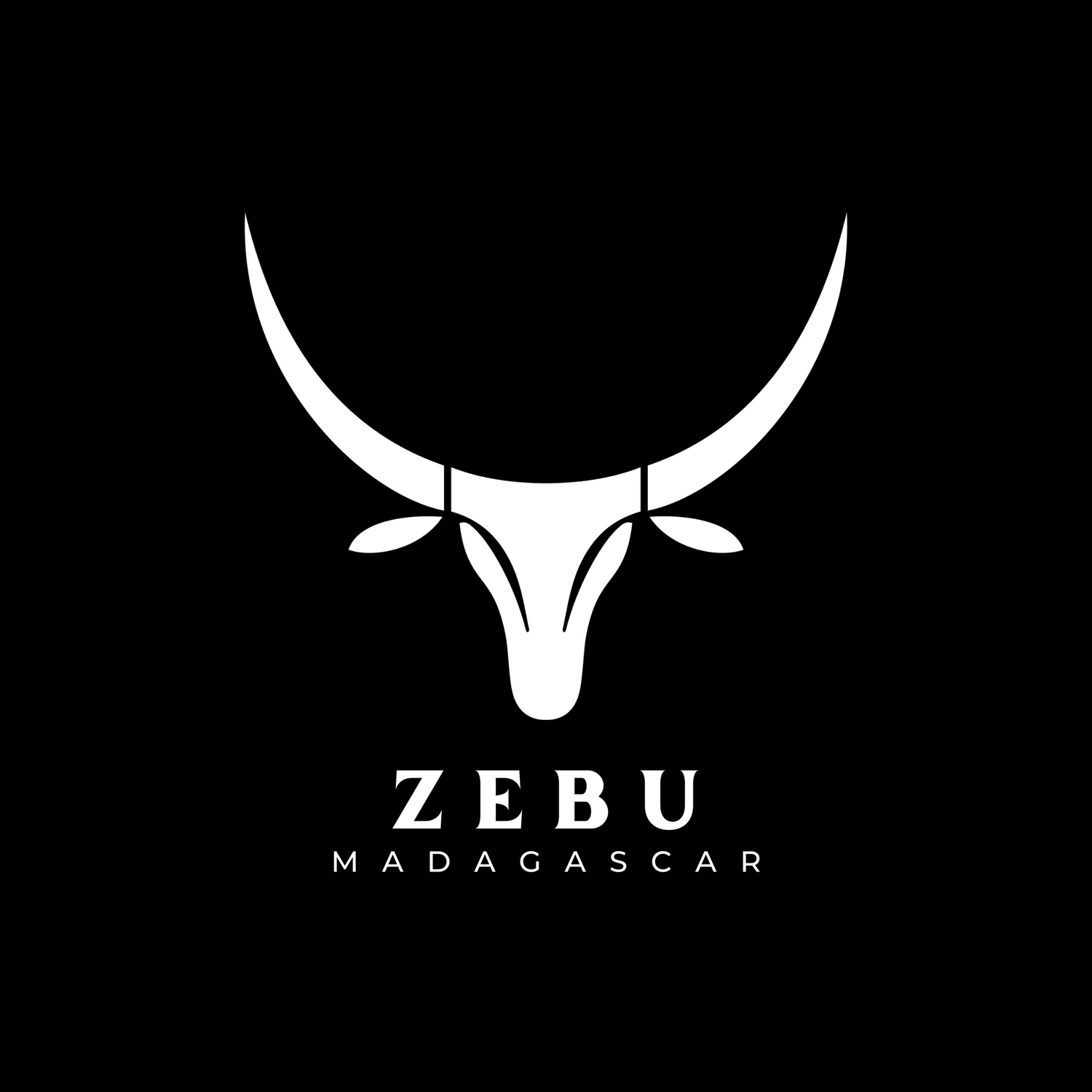 Zebu